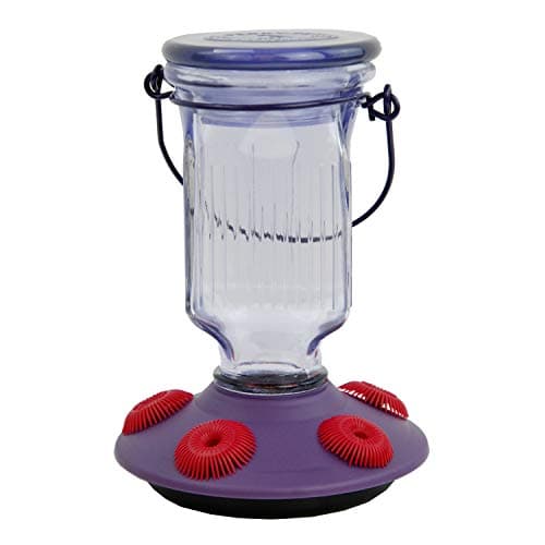 Perky-Pet Lavender Field Top-Fill Glass 16 oz
