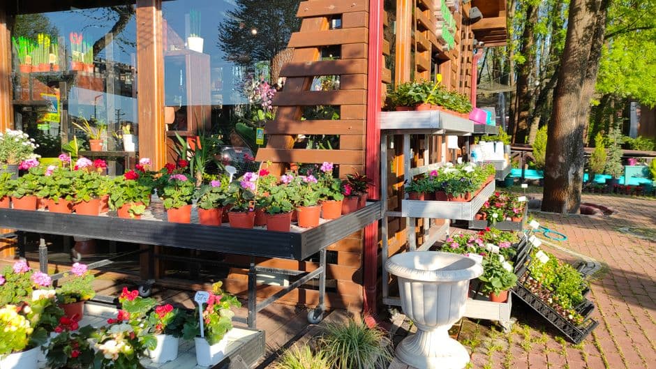 An outdoor display of potted flowers at a garden shop