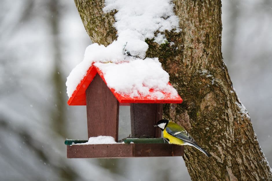 A small bird perched at a snow-covered birdhouse in winter