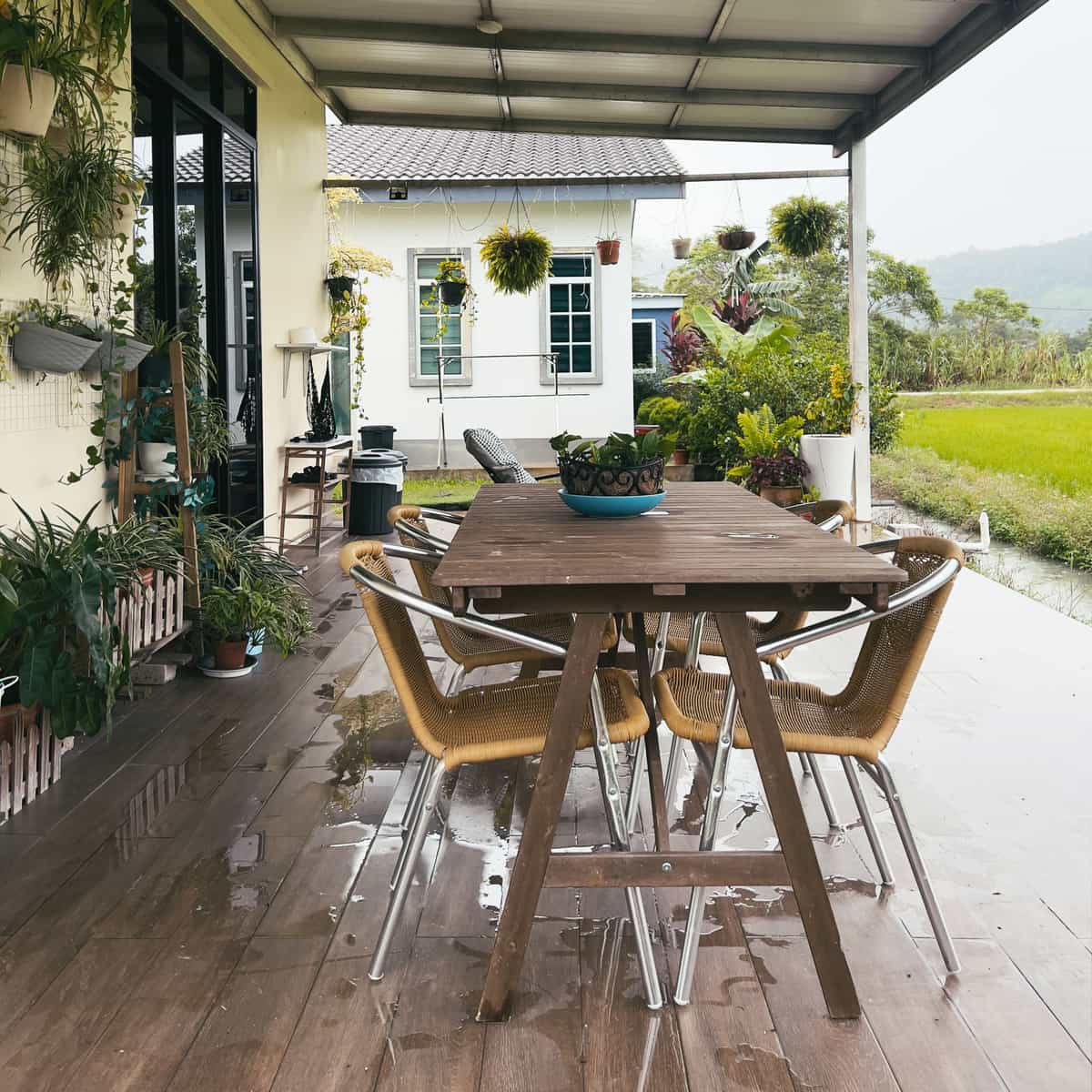 A backyard patio with hanging plants