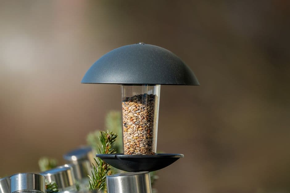 A bird feeder in a garden