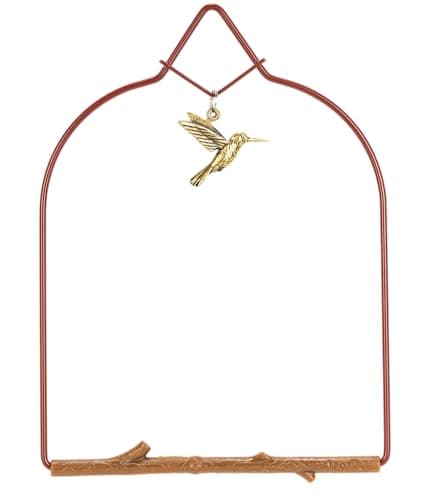 Pop's Birding Hummingbird Swing